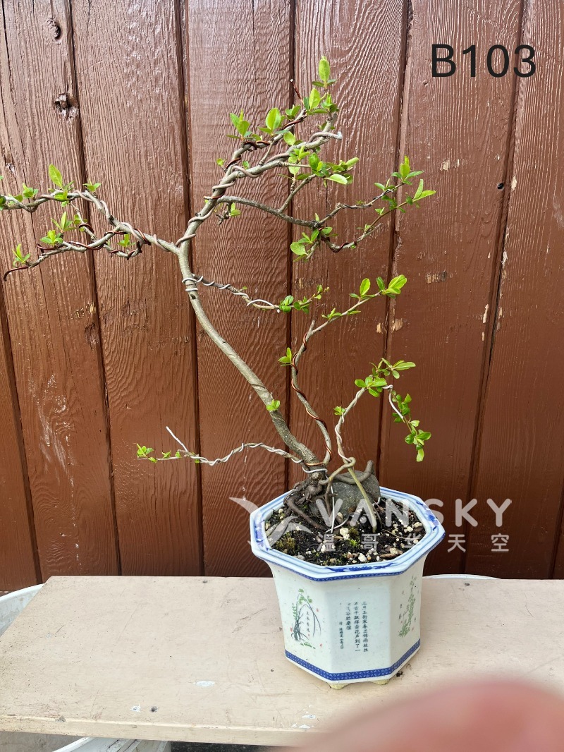 260323231115_B103 15 - 25-04.JPG